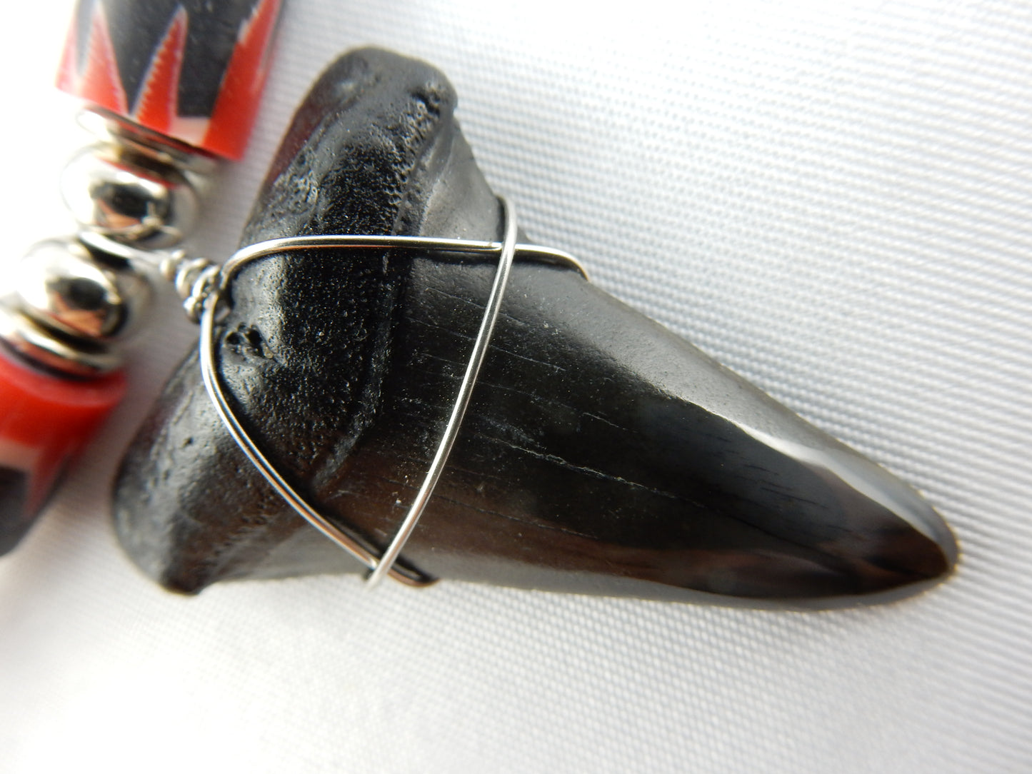 Megladon Shark Tooth Necklace