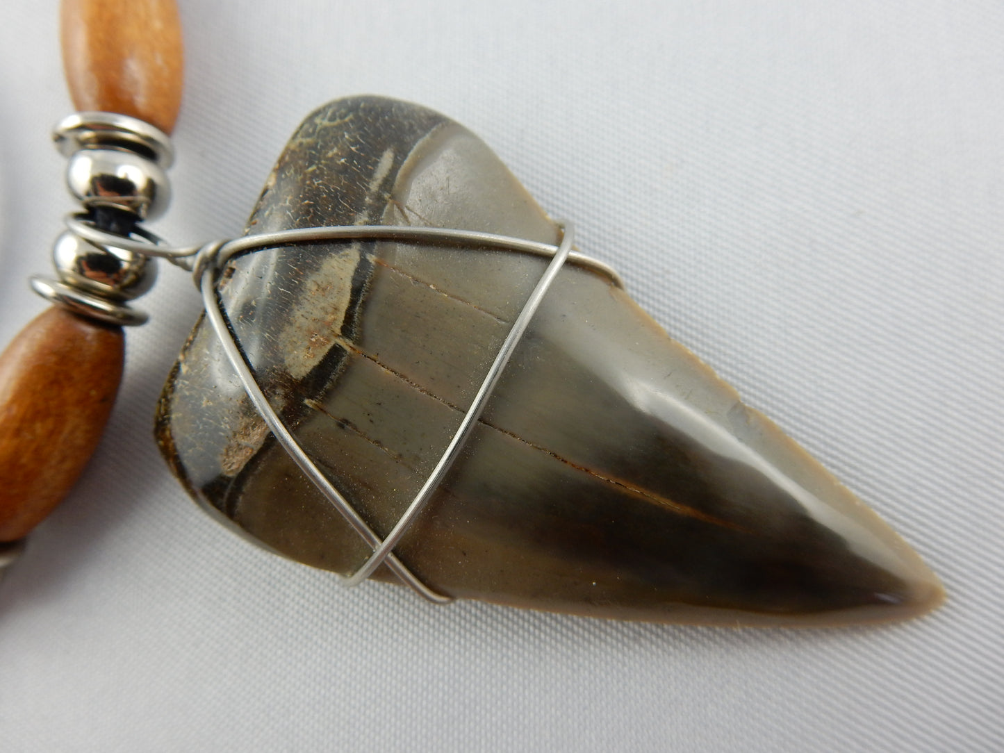 Megladon Shark Tooth Necklace