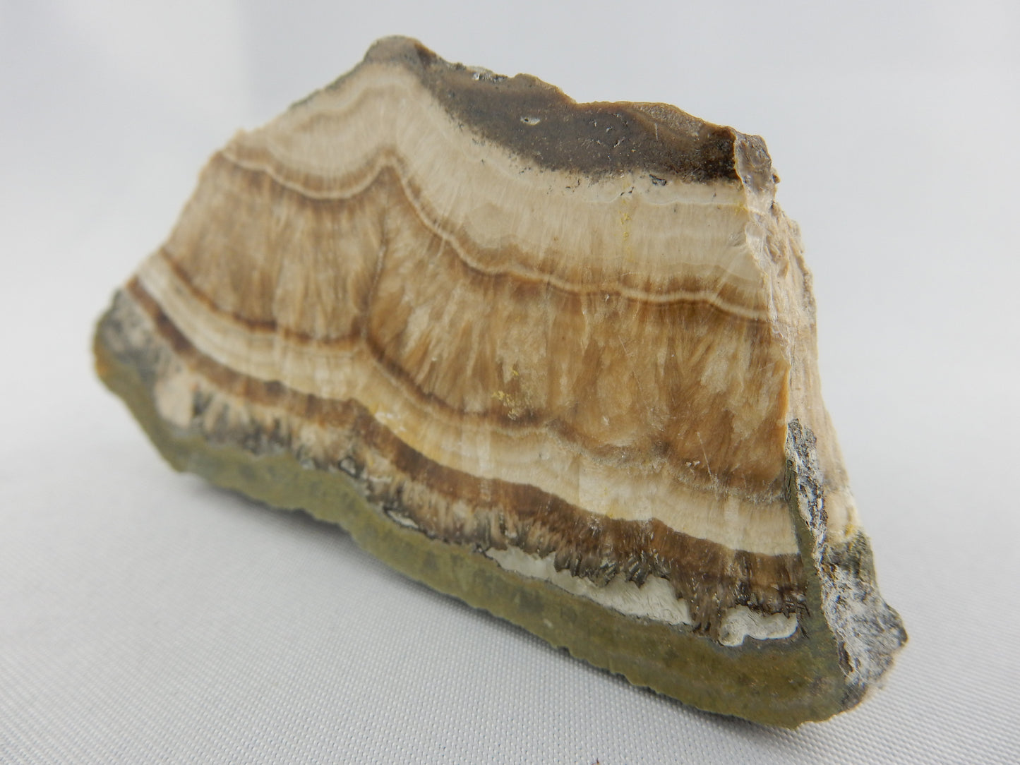 Schalenblende, classic old-school sulfide combination - Sphalerite, Pyrite, Galena, Wurtzite - in banded "stalactic" formation