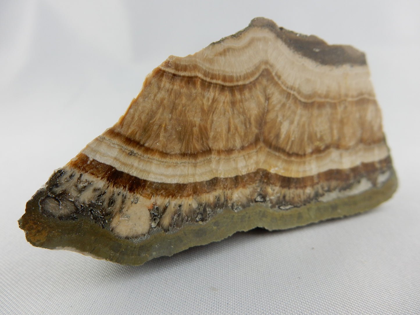 Schalenblende - classic old school