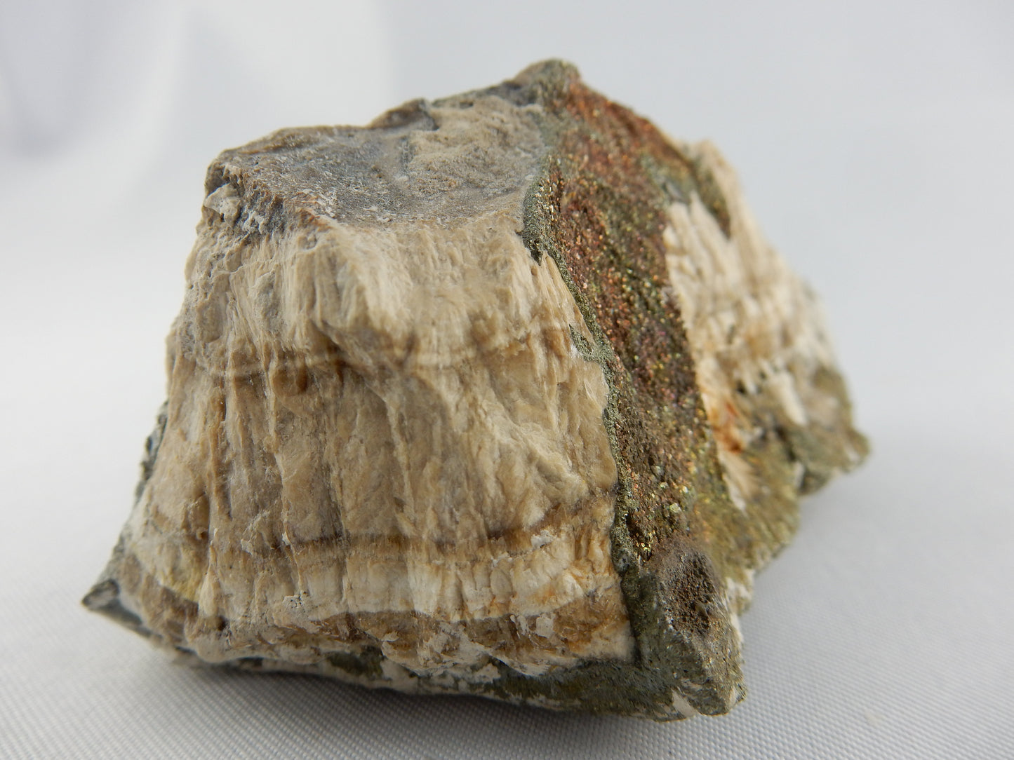 Schalenblende - classic old school