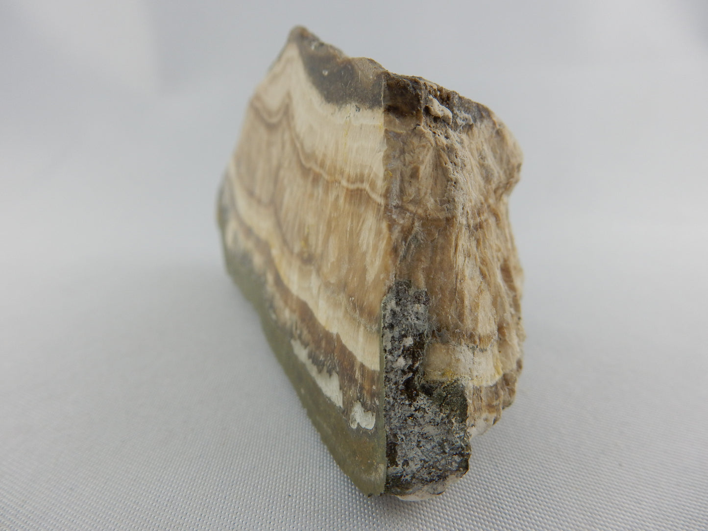 Schalenblende - classic old school