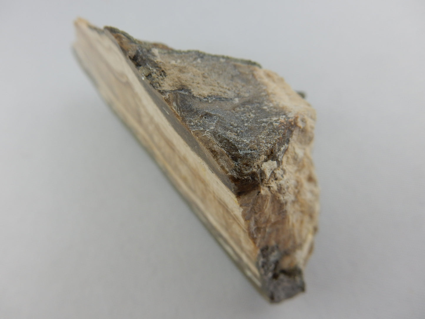 Schalenblende - classic old school