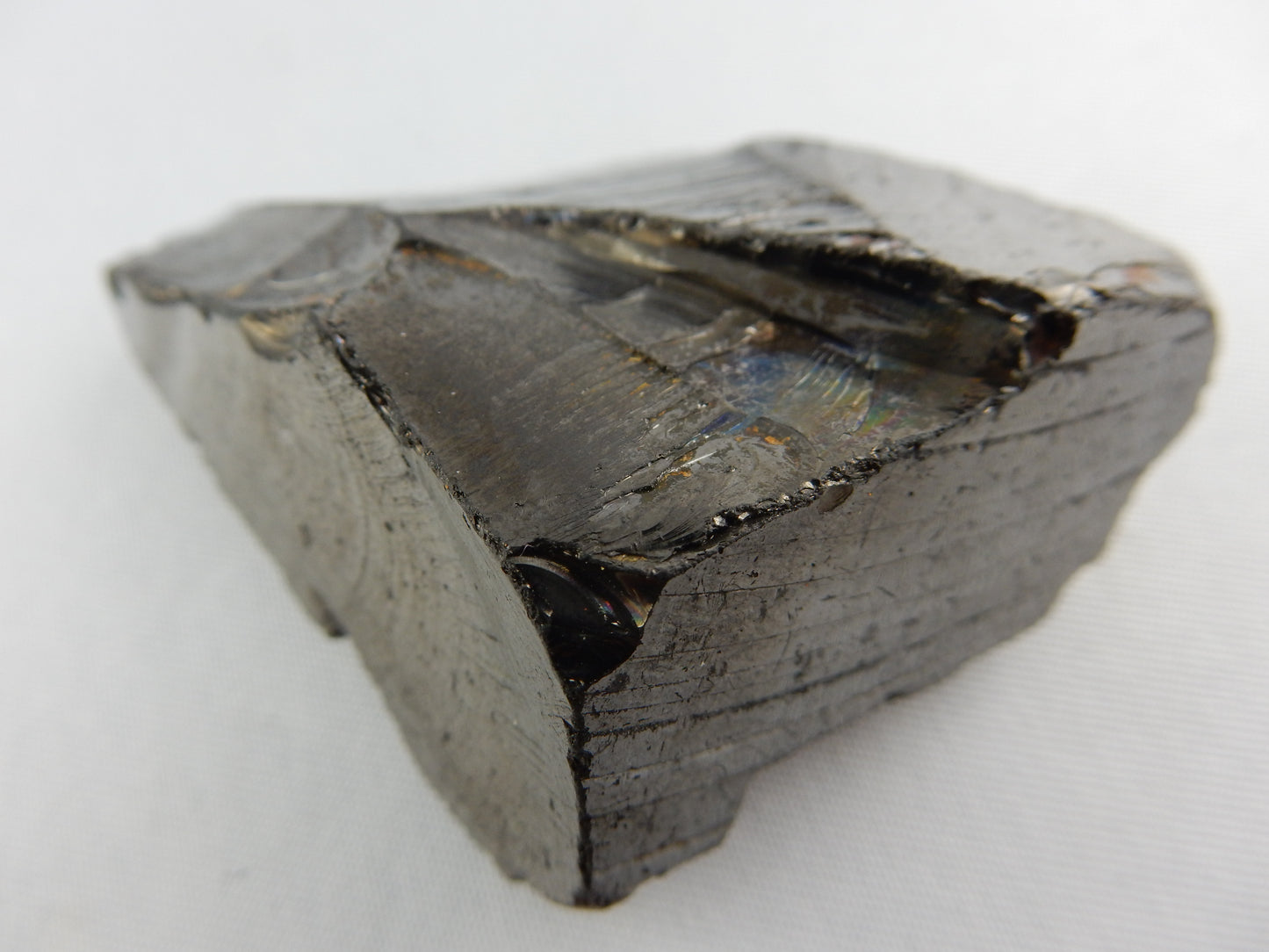 Shungite "Elite"