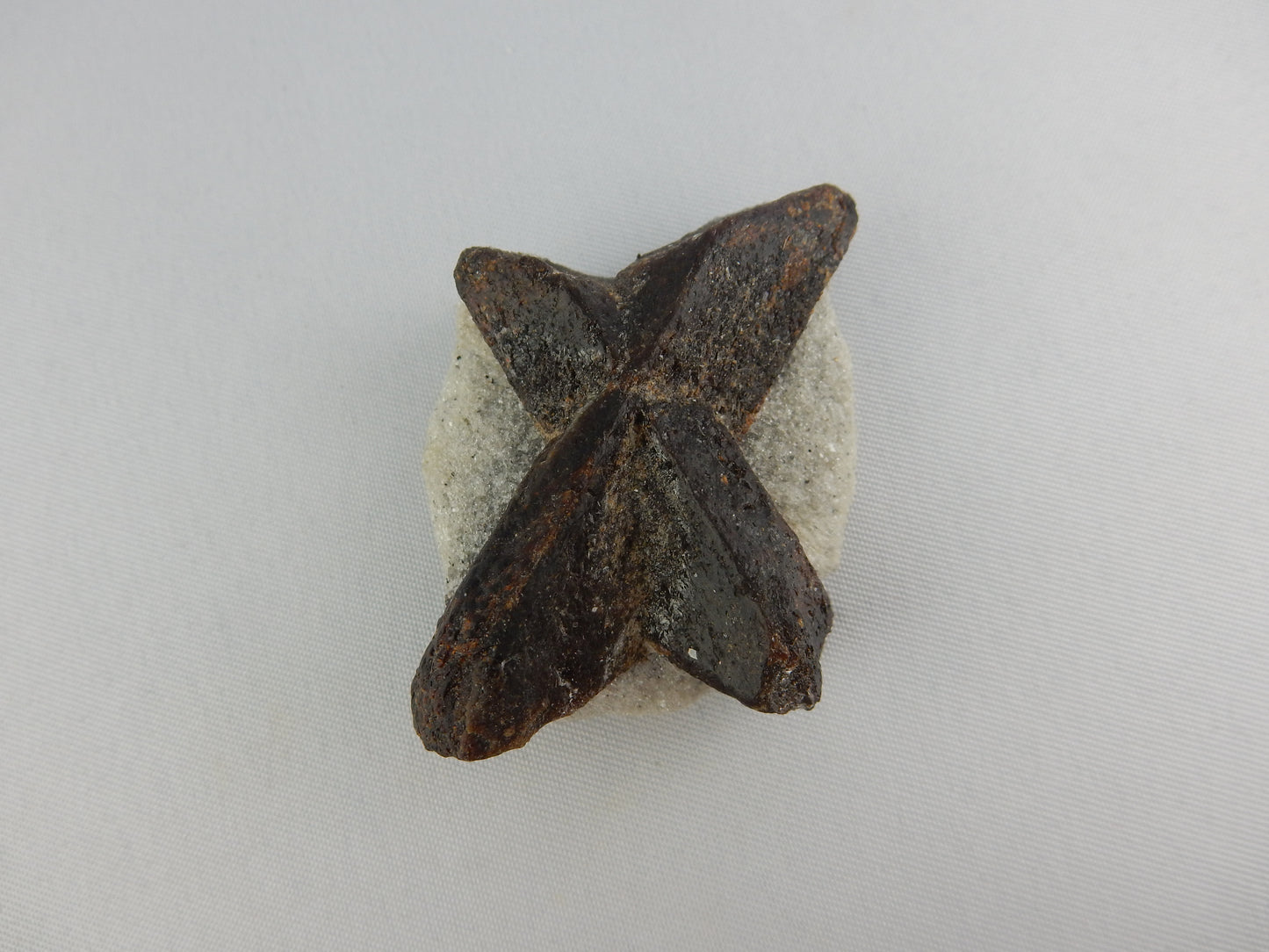 BIG "X" of Natural unusual mineral Staurolite on maxtrix of muscovite schist