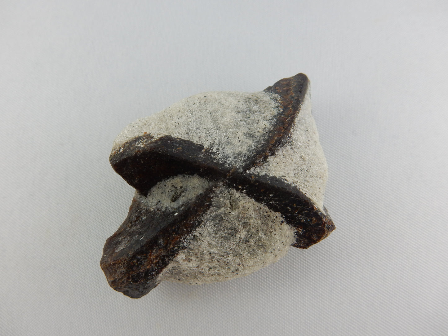 Staurolite - Natural "X"!