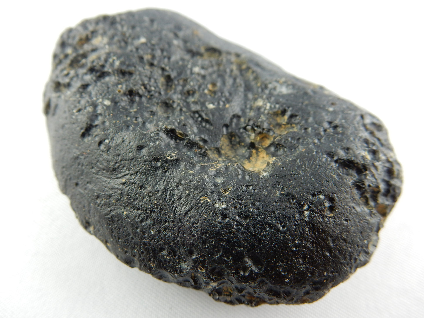 Tektite big oval