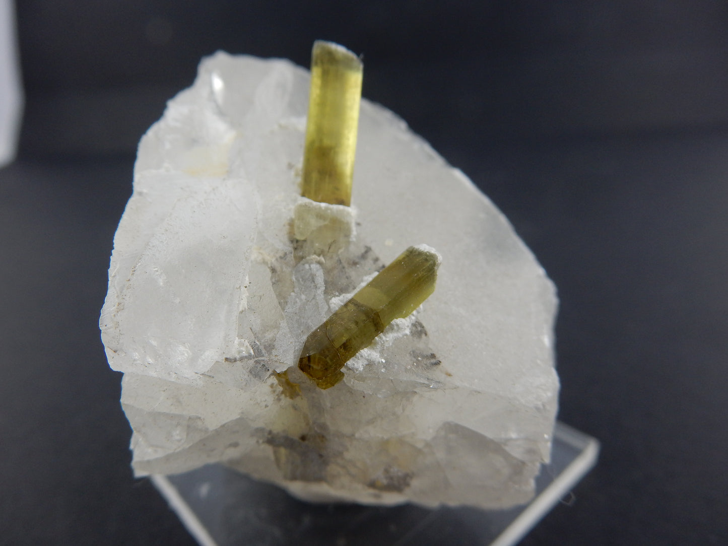 two gemmy apple-green terminated "swords in stone" Tourmalines - growing out of a quartz crystal