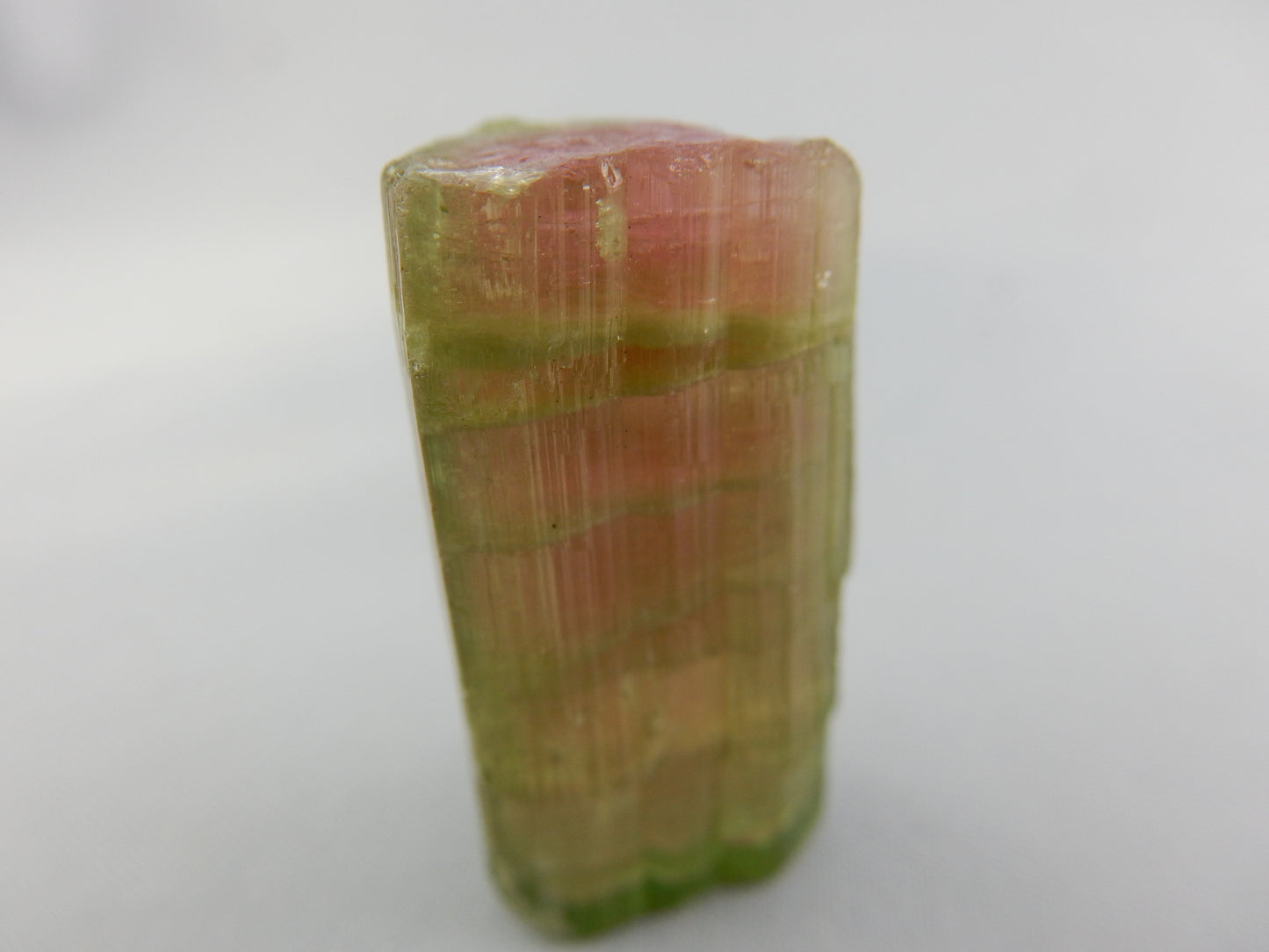Tourmaline Watermelon