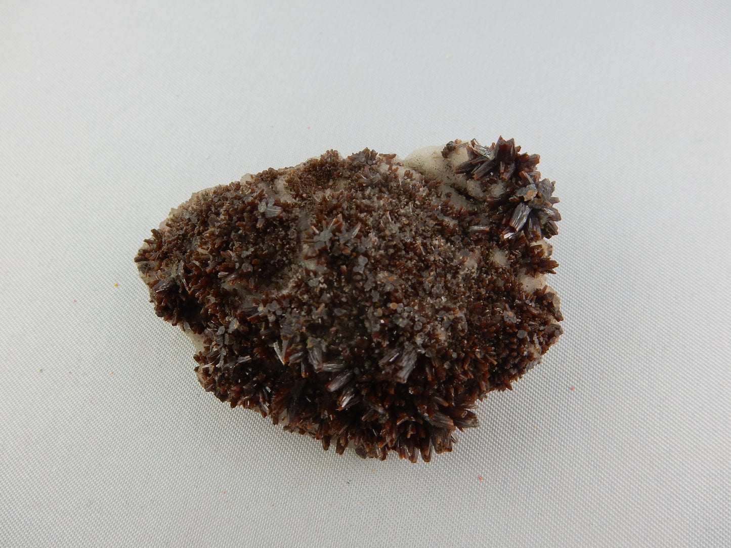Rare variety of Vanadinite-Mimetite solution series - substitution of arsenic for vanadium - sparkly clusters on matrix