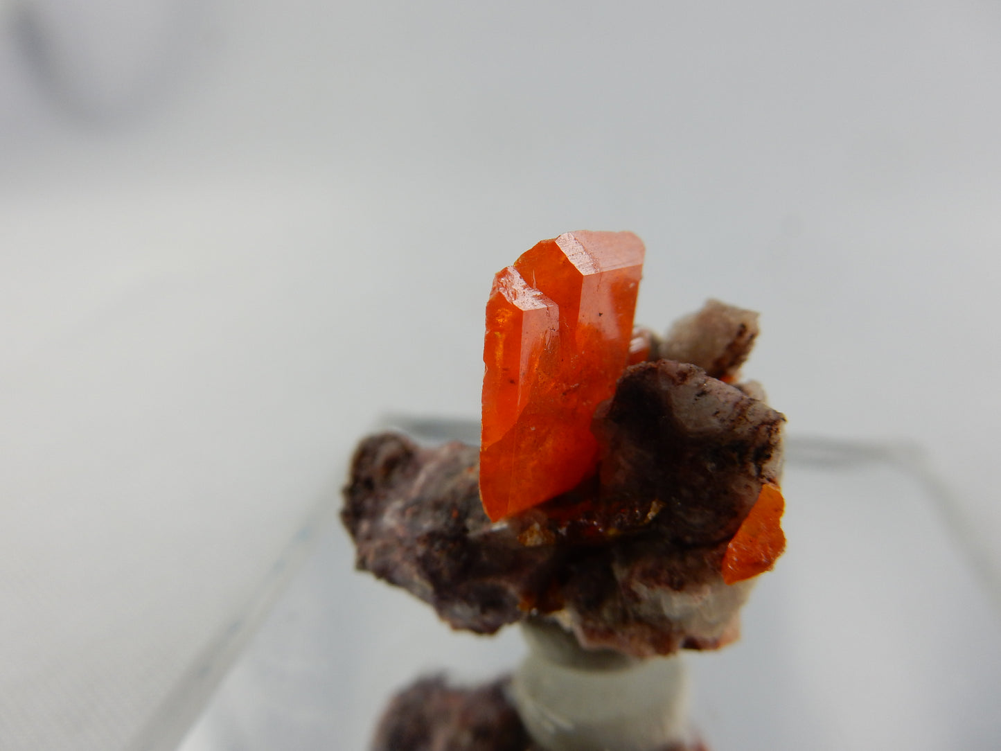 Wulfenite - Red Cloud Mine on matrix