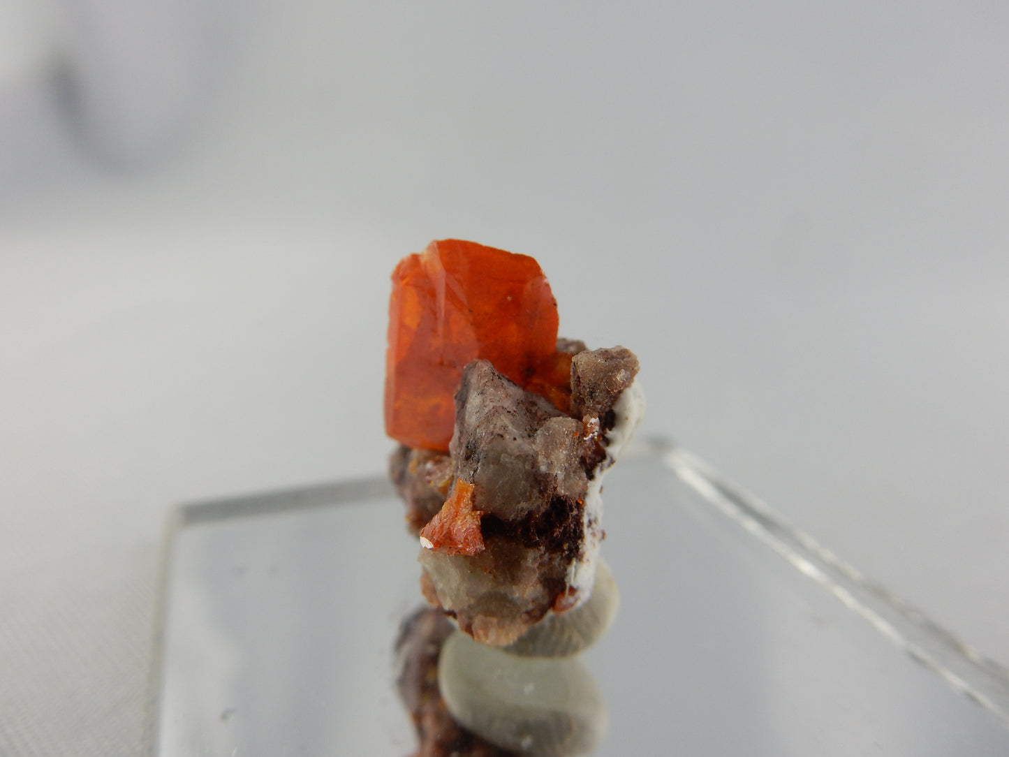 Wulfenite - Red Cloud Mine on matrix