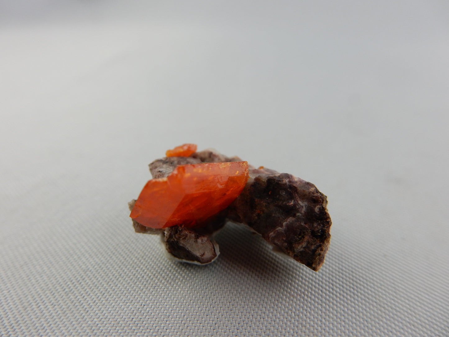 Wulfenite - Red Cloud Mine on matrix