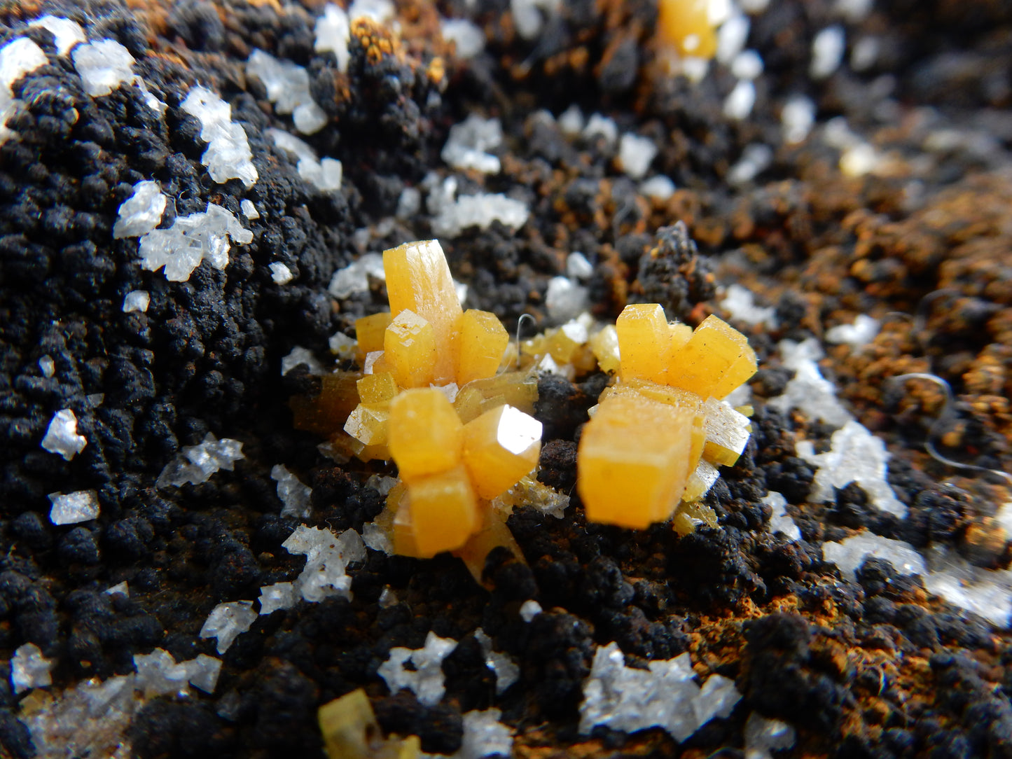 Wulfenite with Mimetite