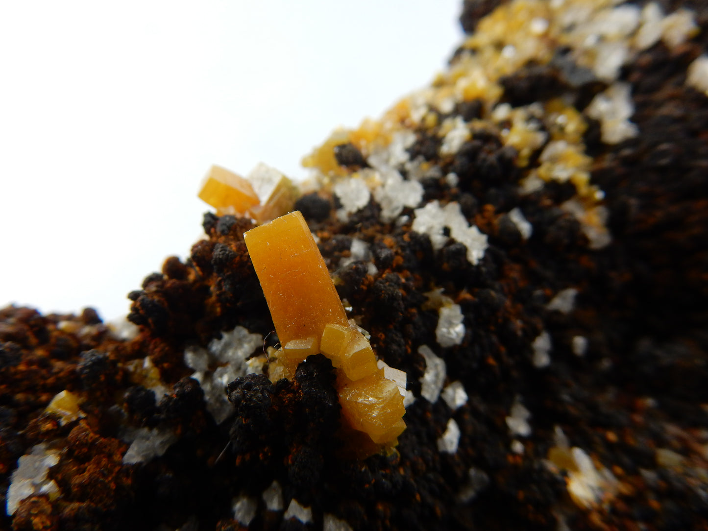 Wulfenite with Mimetite