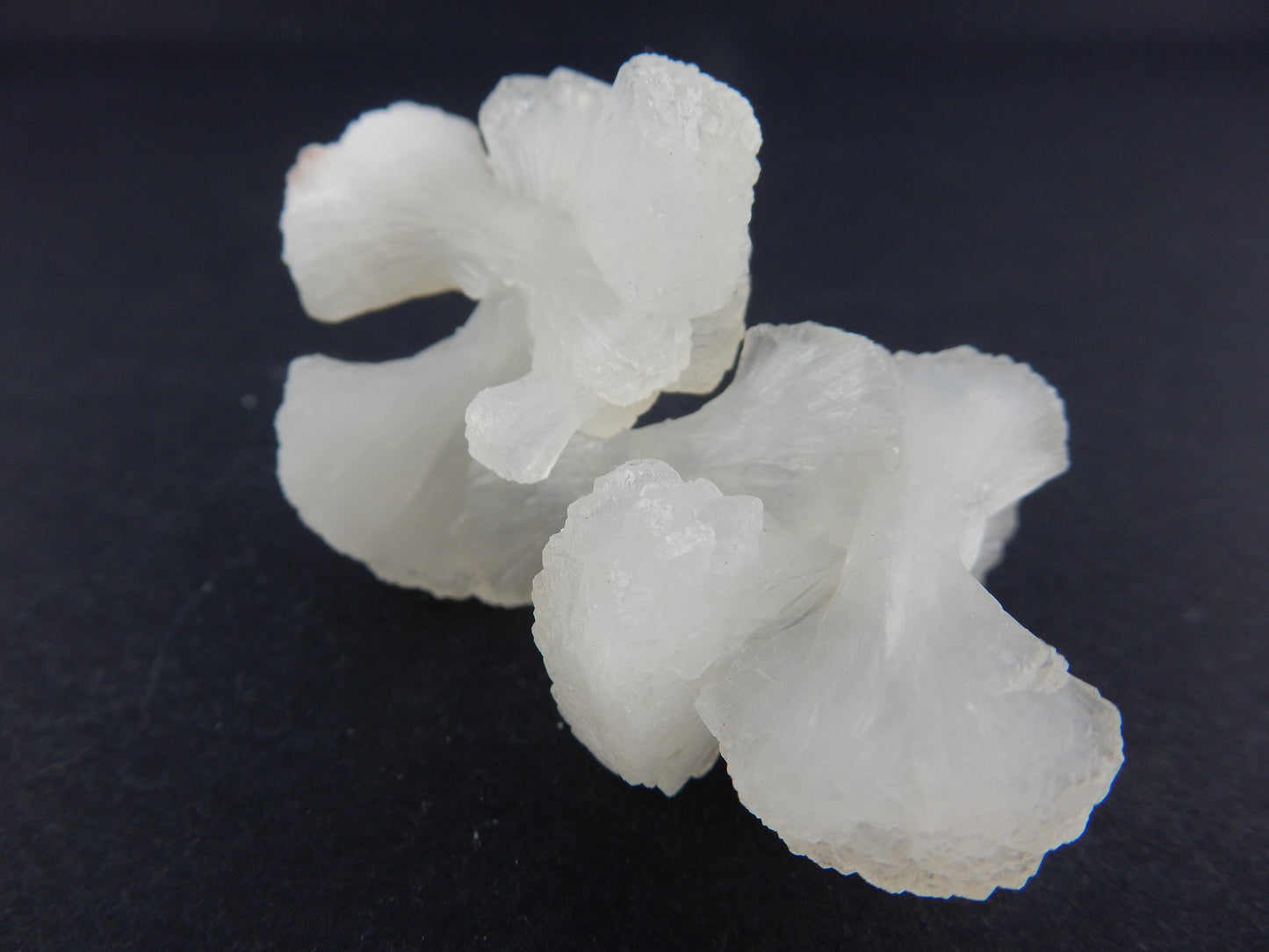 Stilbite "Bowtie Cluster"