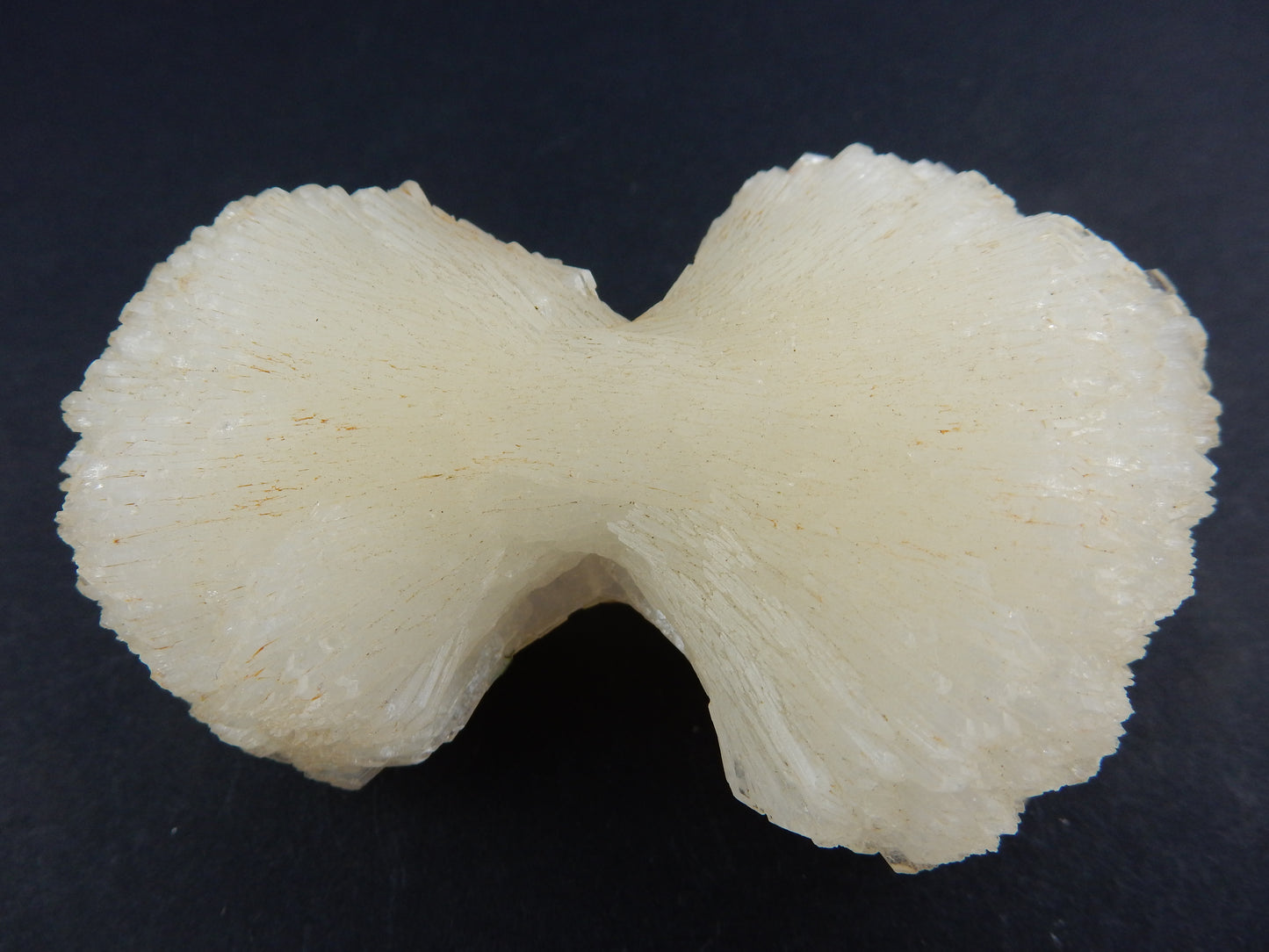 huge single "Floater" perfect "bow-ties" of shiny Stilbite