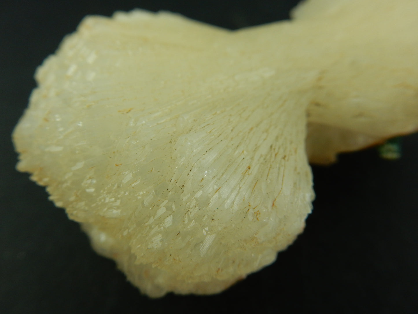 Stilbite - Bow-Tie large