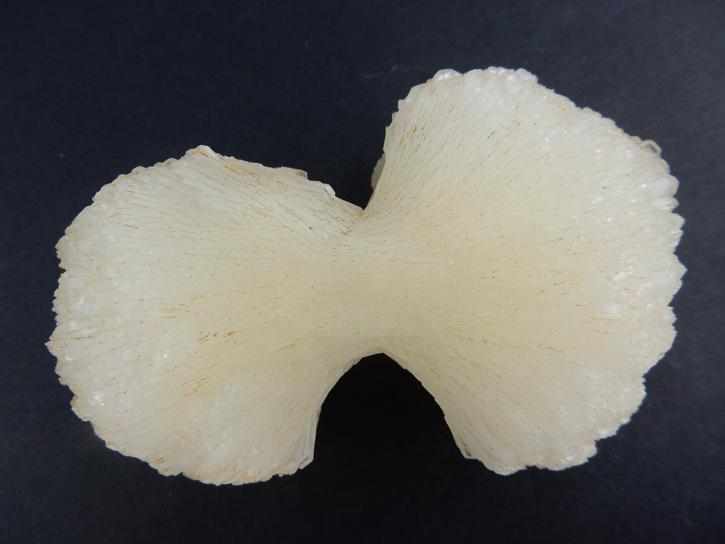 Stilbite - Bow-Tie large
