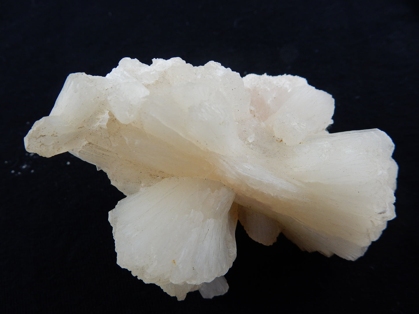 Stilbite - Bow-Tie (Crystal)