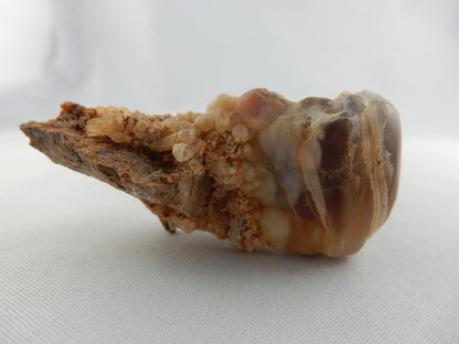 Agate Carnelian New Zealand