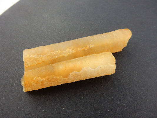 Twin stems of "bamboo agate"- chalcedony casts of wetwater stems/roots