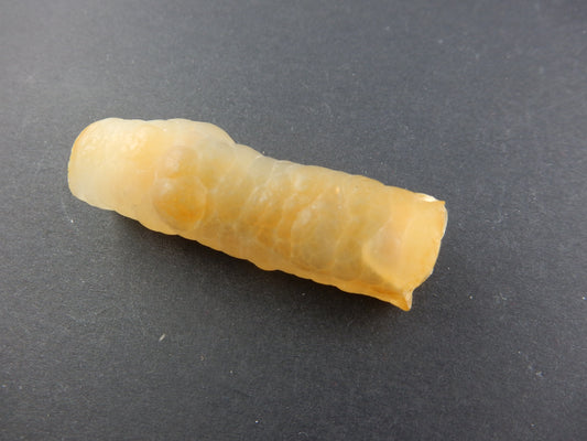 Single fat stem of "bamboo agate" - chalcedony casts of wetwater stems/roots