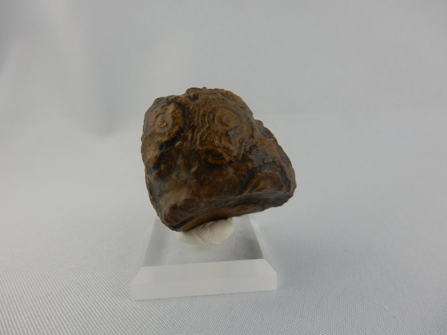 Gobi Agate - Face
