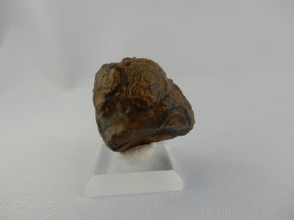 Gobi Agate - Face