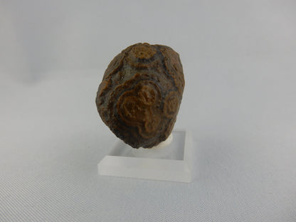 Gobi Agate - Face