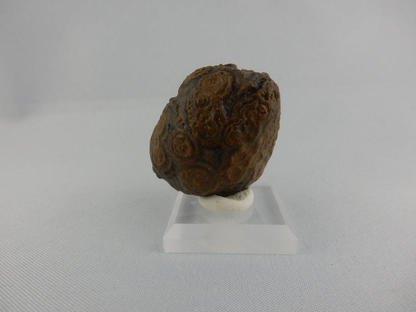 Gobi Agate - Face