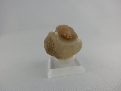 Gobi Agate - Face