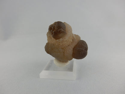 Natural desert-polished unique agate - 4 x prominent "eyes" of brown agate in matrix of tramsluscent while agate - exposed by desert sands Gobi Desert