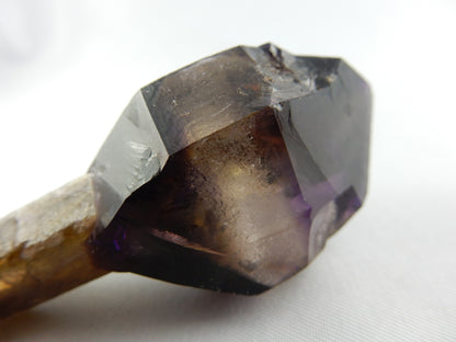 Amethyst Scepter