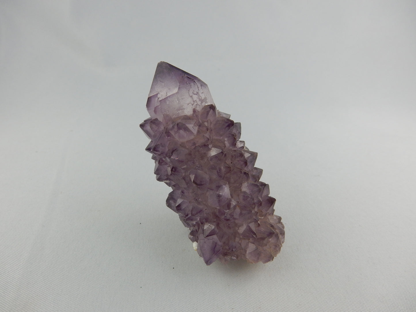 Killer Scepter/Spirit Amethyst - length smothered with sparkly amethyst points as a royal "coat"