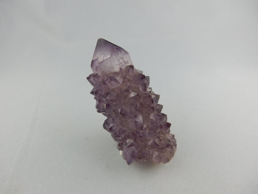 Killer Scepter/Spirit Amethyst - length smothered with sparkly amethyst points as a royal "coat"
