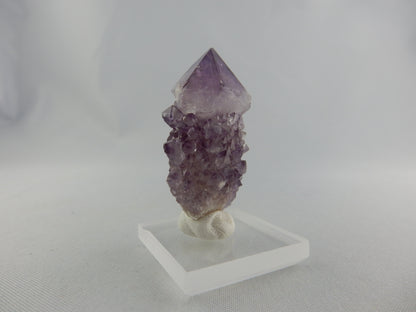 Killer Scepter/Spirit Amethyst - great colour and super gemmy scepter