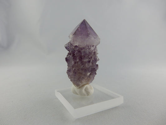 Killer Scepter/Spirit Amethyst - great colour and super gemmy scepter