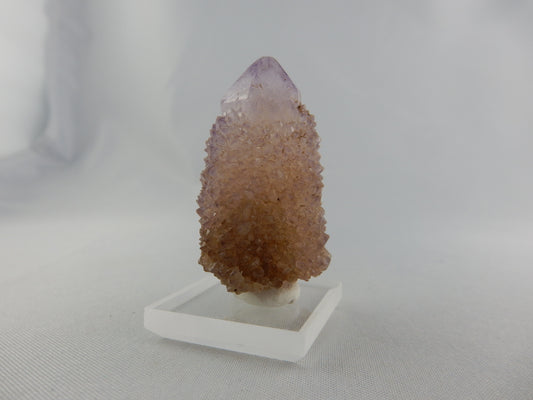 Small Scepter/Spirit Amethyst - length smothered with sparkly amethyst points and interesting original quartz "core"