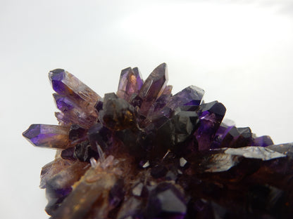 Amethyst Cluster