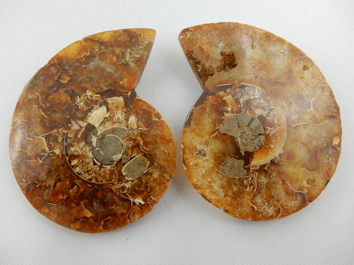 Ammonite split pair, rainbow shell, interesting calcite replacement