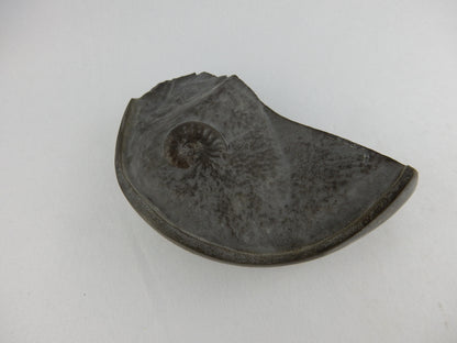 Ammonite Pyrite "Cannonball"