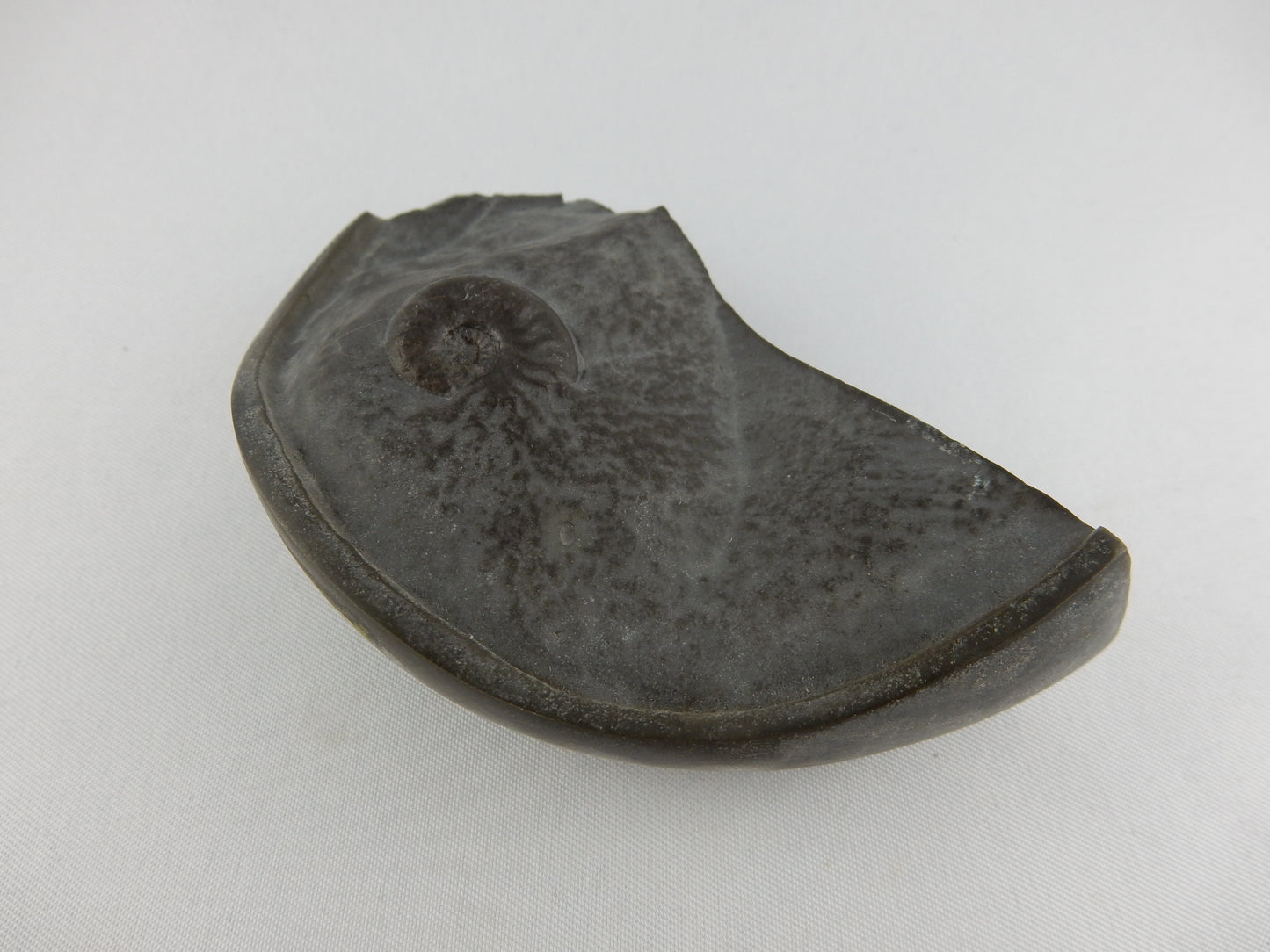 Ammonite Pyrite "Cannonball"