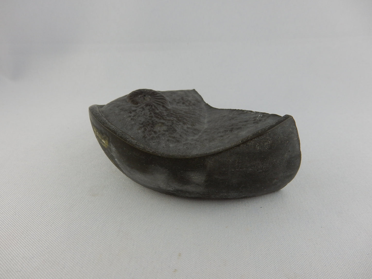 Ammonite Pyrite "Cannonball"