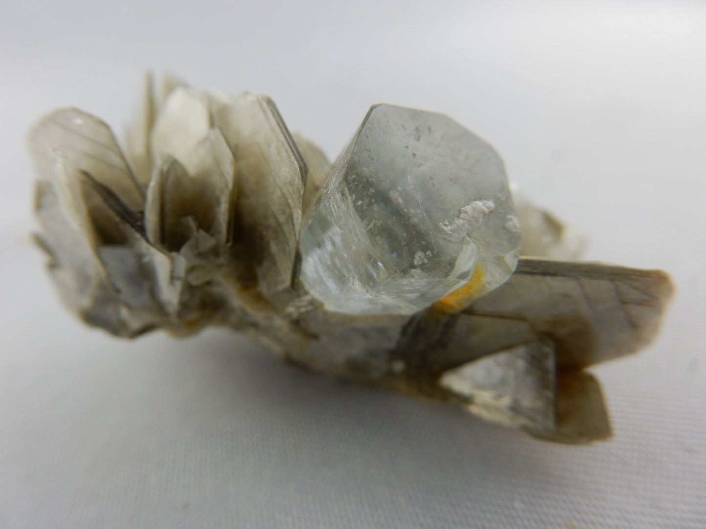 Aquamarine on Muscovite