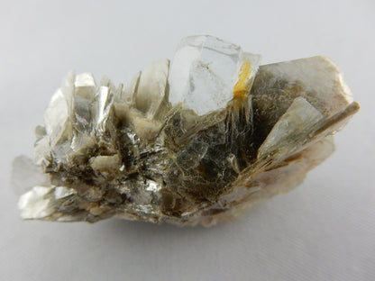 Aquamarine on Muscovite