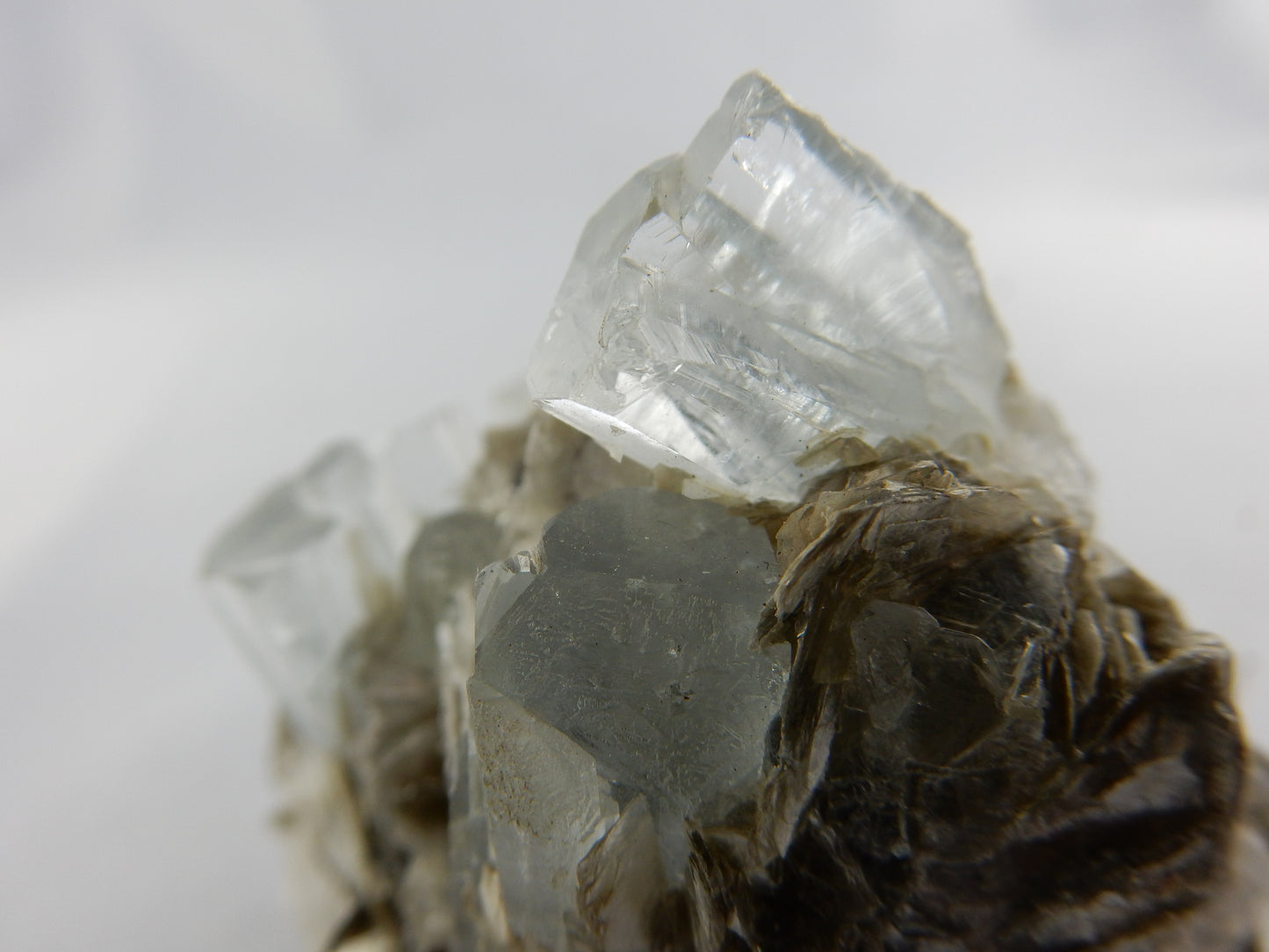 Aquamarine - multiple Crystals on Matrix
