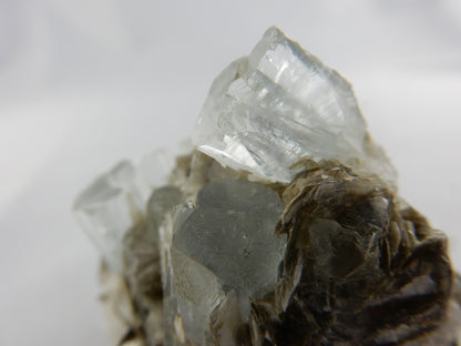 Aquamarine - multiple Crystals on Matrix