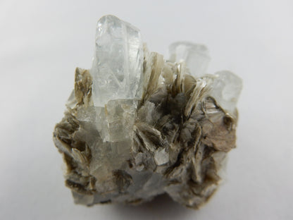 Aquamarine - multiple Crystals on Matrix