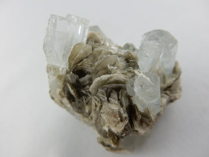 Aquamarine - multiple Crystals on Matrix